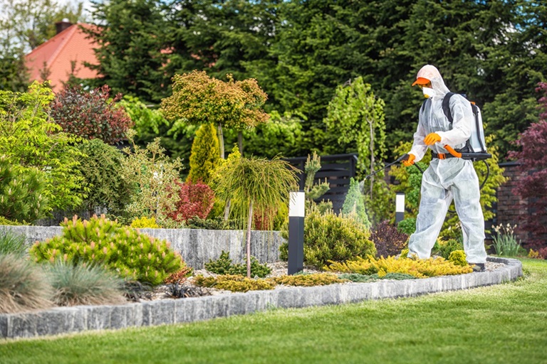 Pests bugging your lawn? Say goodbye to unwanted guests