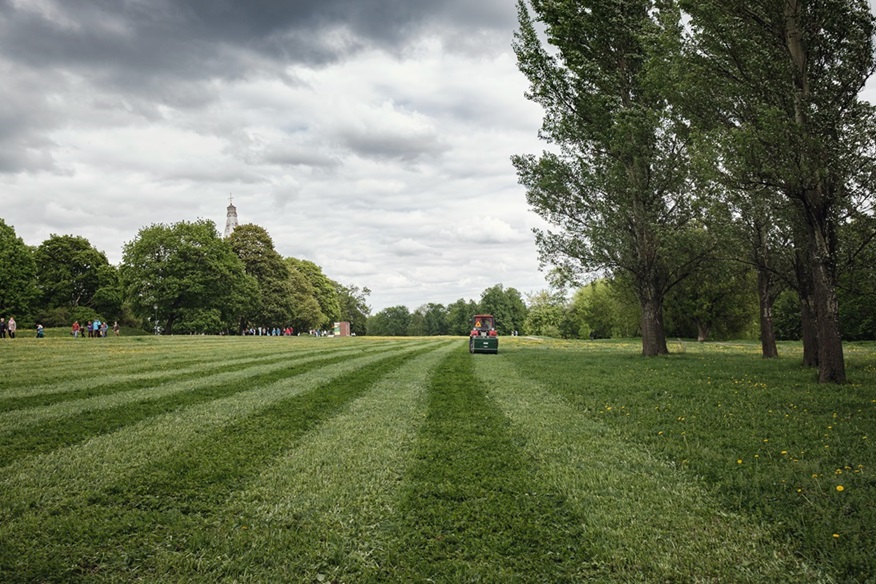 Turn your lawn into a lush oasis with our expert care