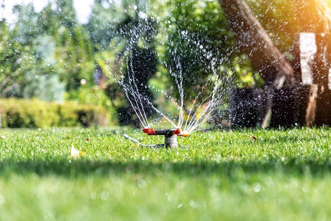 Is your lawn thirsty for attention?