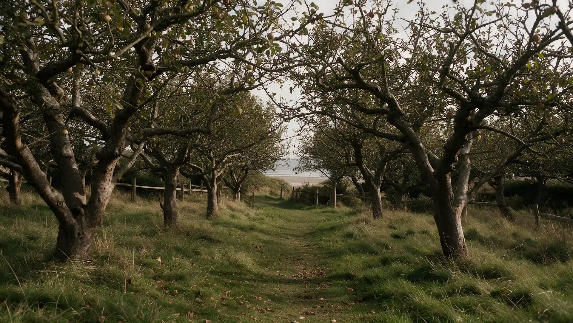 The Real Orchard Behind The Salt Orchard